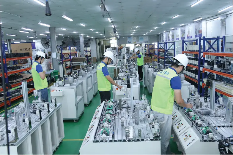 Lĩnh vực đào tạo tư vấn