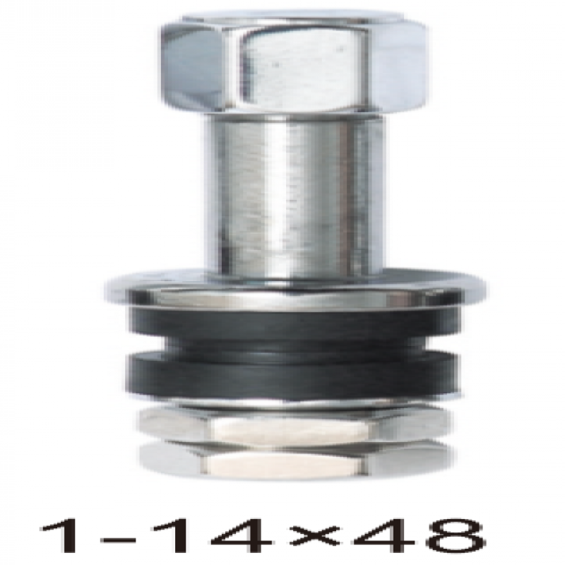 Van lốp xe không săm cho xe máy (thẳng - đầu chụp thép), dài 48mm