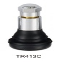 Van lốp xe không săm cho xe du lịch và xe tải nhẹ (thẳng - đầu chụp inox)