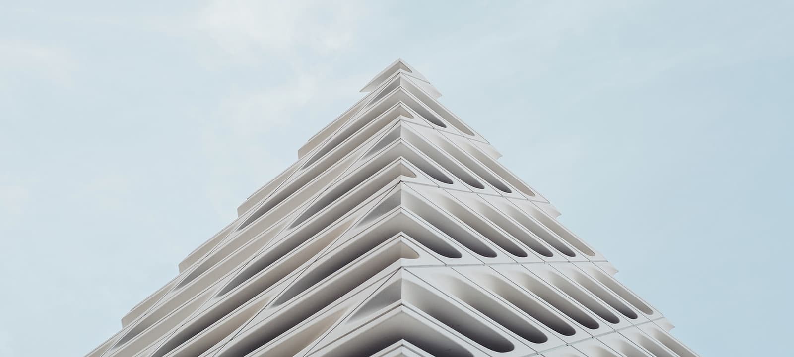 Ảnh 2